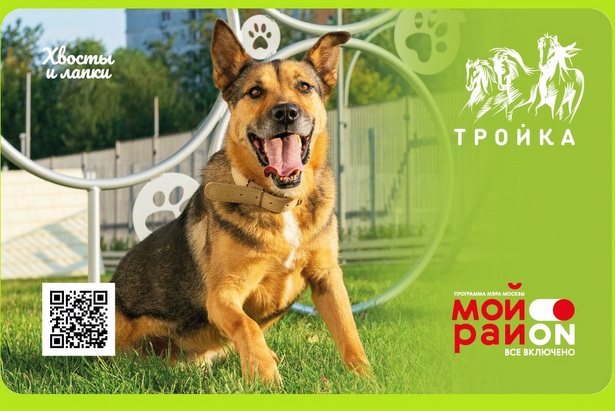 Темой новой карты  «Тройка» стали уникальные площадки для собак
