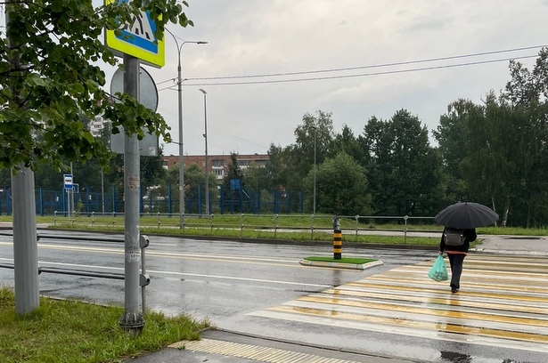На дорогах Зеленограда тестируют новые модульные островки безопасности