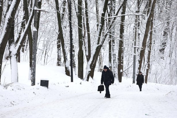 Лесопарковая зона возле 6-го микрорайона Зеленограда станет светлее