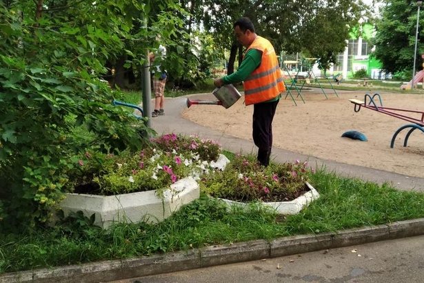 Коммунальщики Старого Крюково из-за жары работают в усиленном режиме