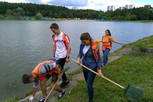 Трудовая бригада из Старого Крюково завершила свою работу сбором водорослей