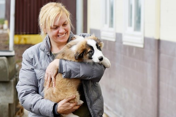 В городских приютах для животных своих хозяев ждут 17 тысяч кошек и собак