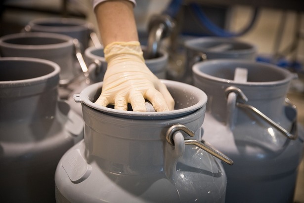 Россельхознадзор снял запрет на поставку белорусских молочных продуктов в Россию