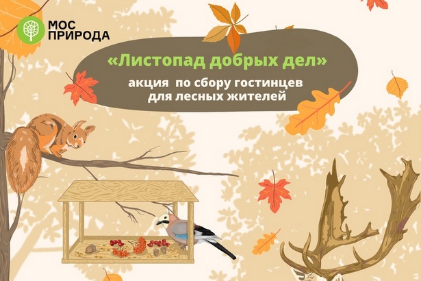 Мосприрода запустила ежегодную экологическую акцию в помощь животным
