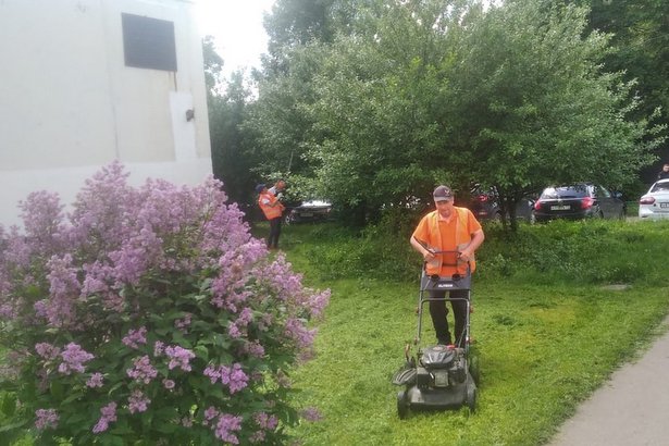 Уходу за зелеными насаждениями в Старом Крюково уделяется особо внимание из-за жары