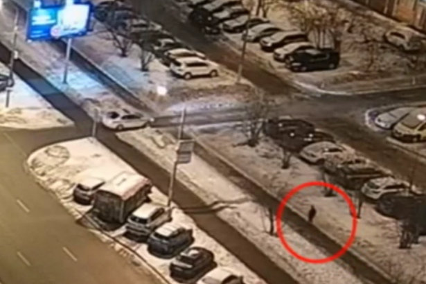 В Зеленограде задержан подозреваемый в грабеже