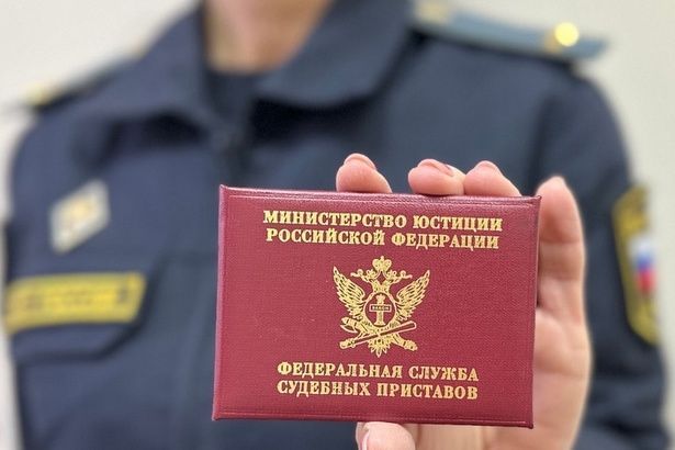 Столичные судебные приставы с начала года взыскали с неплательщиков алиментов около  2,2 млрд рублей
