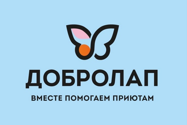 В Зеленограде проходит акция по сбору помощи приютам для бездомных животных