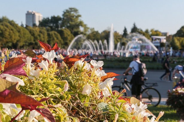 Молодежный фестиваль «PROлето» пройдет на проспекте Сахарова и ВДНХ