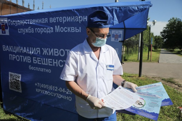 В Старом Крюкове можно бесплатно привить животное от бешенства