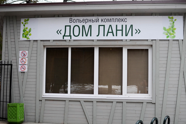 Птицы и мелкие животные возвращаются в Дом лани