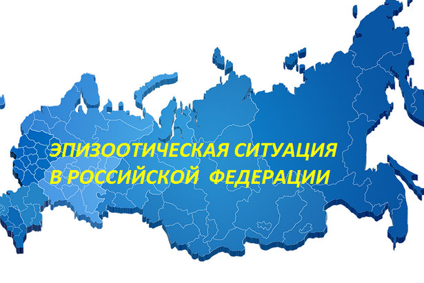 Эпизоотическая ситуация в Российской Федерации