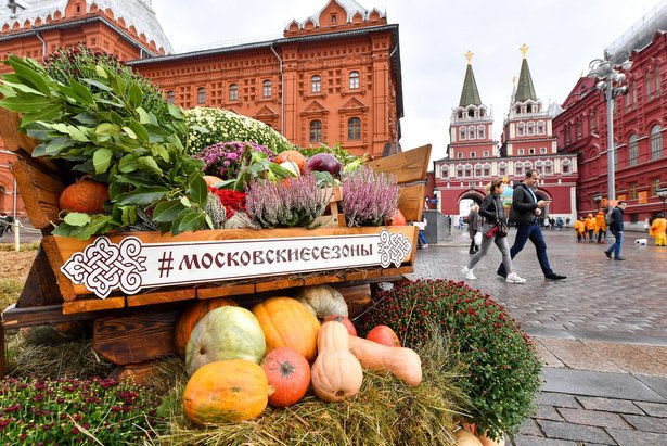 В рамках фестиваля «Золотая осень» проведут более 30 экскурсий