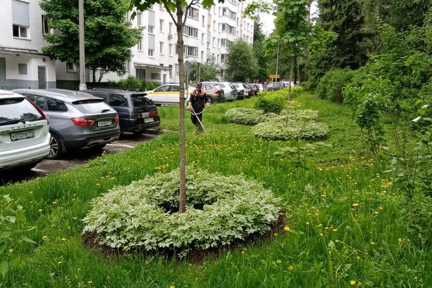 В Старом Крюково приступили к повторному покосу травы