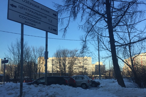 На Сосновой аллее изменят скоростной режим
