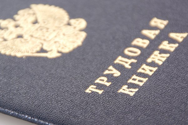 Депутат Мосгордумы Гусева рассказала о преимуществах электронной трудовой книжки