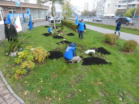 «Миллионному городу – миллион деревьев!» Акция продолжается!