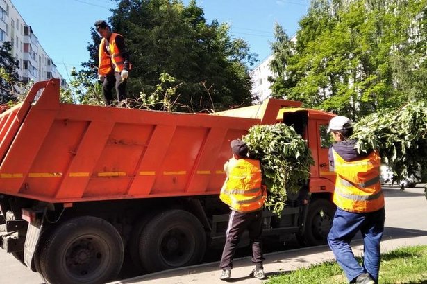 Коммунальщики Старого Крюково занимаются обрезкой кустарников и восстановлением газонов