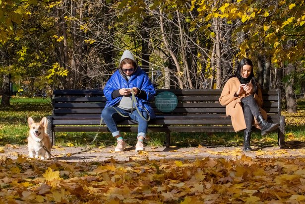 Москва  продлит часть санитарных мер для борьбы с COVID-19 после 8 ноября