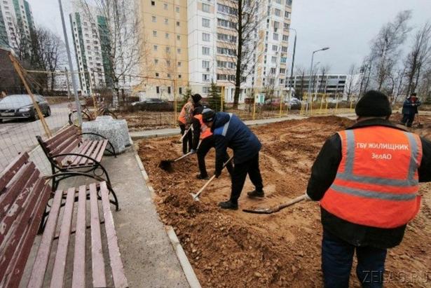 В Зеленограде приступили к благоустройству одной зоны отдыха и пяти дворов