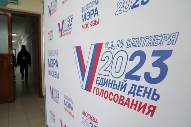 Депутат МГД Гусева проголосовала онлайн на на выборах мэра Москвы