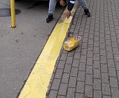 В Старом Крюково продолжается месячник весеннего благоустройства