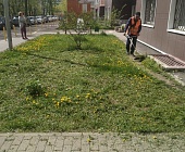 В Старом Крюково продолжаются работы на дворовых территориях в рамках благоустройства 2022 года