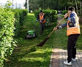 Инженерная служба района Старое Крюково обеспечивает санитарное содержание территории