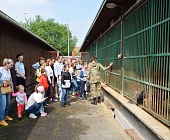 Юные зеленоградцы побывали на экскурсии в Центре кинологической службы