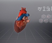 Выпускница МИЭТ стала призёром  III Международного конкурса High-level research