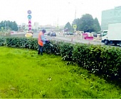 В Старом Крюково благоустраивают территорию на разворотном круге МИЭТа