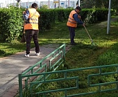 Инженерная служба района Старое Крюково обеспечивает санитарное содержание территории
