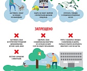 В Центральном федеральном округе осложнилась эпизодическая ситуация по бешенству