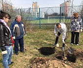 В Старом Крюково прошла очередная общественная акция по благоустройству района