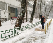 В праздничные дни коммунальщики Старого Крюково продолжали ухаживать за территорией района