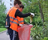 Трудовая бригада продолжает свою работу