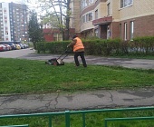 В Старом Крюково продолжаются работы на дворовых территориях в рамках благоустройства 2022 года