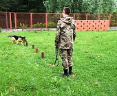 Юные зеленоградцы побывали на экскурсии в Центре кинологической службы