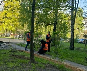 В Старом Крюково продолжаются работы на дворовых территориях в рамках благоустройства 2022 года