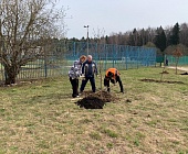 В Старом Крюково прошла очередная общественная акция по благоустройству района
