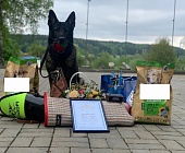 Зеленоградский кинолог успешно выступила в международных соревнованиях
