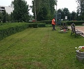 Состояние зеленых насаждений в Старом Крюково находится на особом контроле коммунальщиков