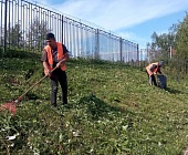 Коммунальщики Старого Крюково из-за жары работают в усиленном режиме